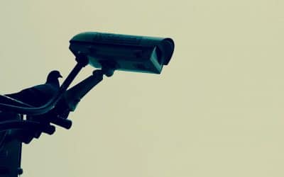 Un système de vidéosurveillance s’avère être très performant